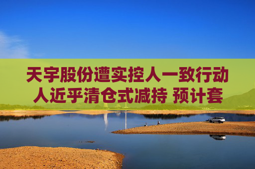 天宇股份遭实控人一致行动人近乎清仓式减持 预计套现金额超2亿元