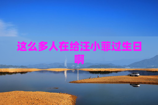 这么多人在给汪小菲过生日啊