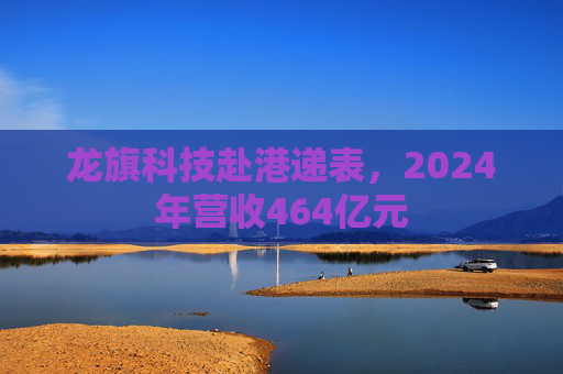 龙旗科技赴港递表,2024年营收464亿元