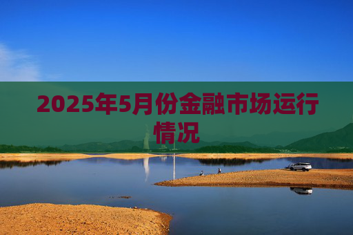 2025年5月份金融市场运行情况