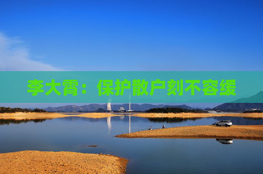 李大霄：保护散户刻不容缓