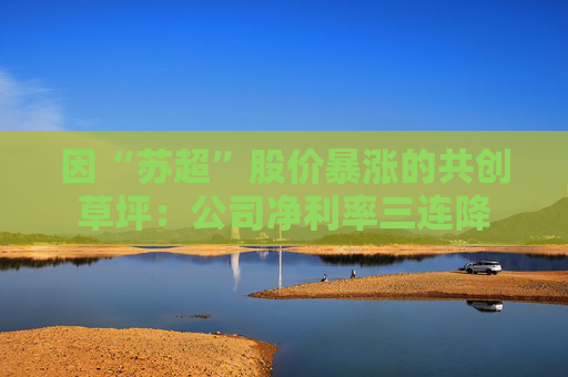 因“苏超”股价暴涨的共创草坪：公司净利率三连降