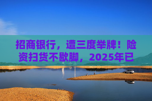 招商银行，遭三度举牌！险资扫货不歇脚，2025年已有13家上市公司被险资举牌
