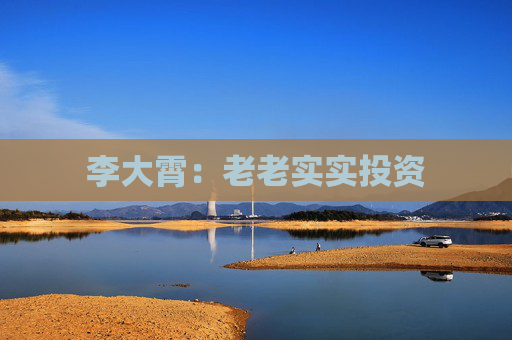 李大霄：老老实实投资