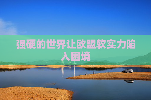强硬的世界让欧盟软实力陷入困境