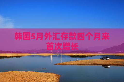 韩国5月外汇存款四个月来首次增长