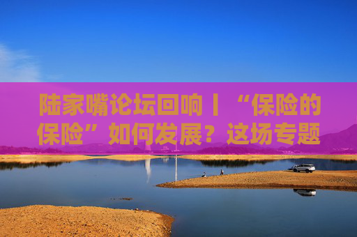 陆家嘴论坛回响丨“保险的保险”如何发展？这场专题会说透了！
