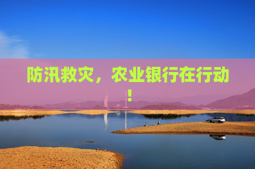 防汛救灾，农业银行在行动！