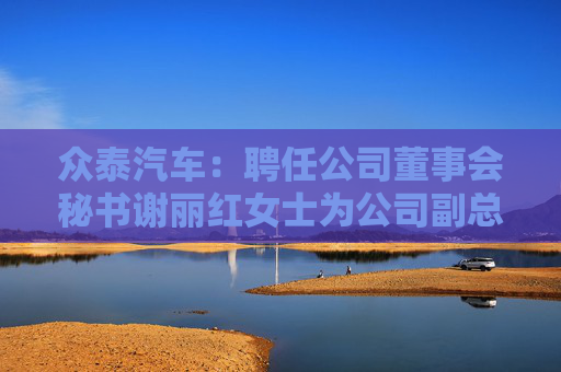 众泰汽车：聘任公司董事会秘书谢丽红女士为公司副总裁