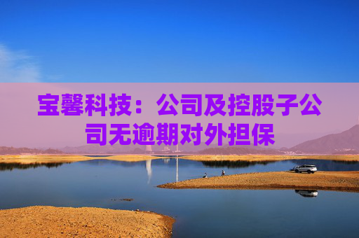 宝馨科技：公司及控股子公司无逾期对外担保
