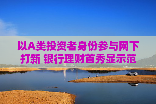 以A类投资者身份参与网下打新 银行理财首秀显示范效应