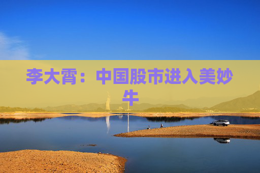 李大霄：中国股市进入美妙牛