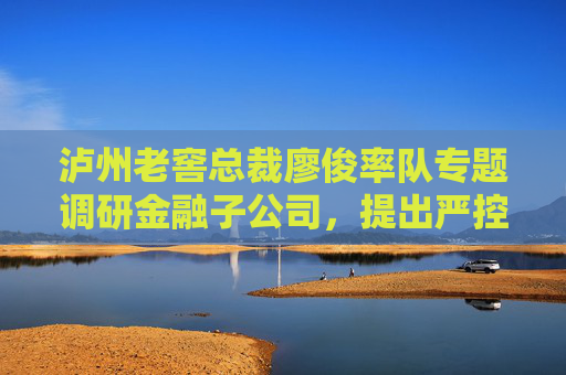 泸州老窖总裁廖俊率队专题调研金融子公司，提出严控流动性风险