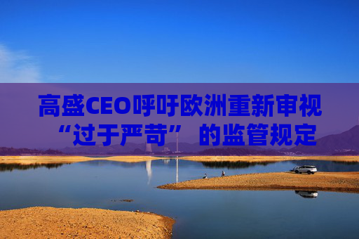 高盛CEO呼吁欧洲重新审视 “过于严苛” 的监管规定
