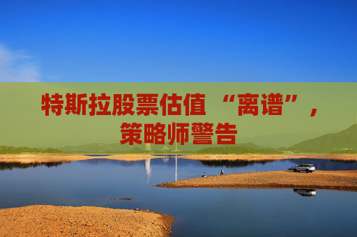 特斯拉股票估值 “离谱”，策略师警告