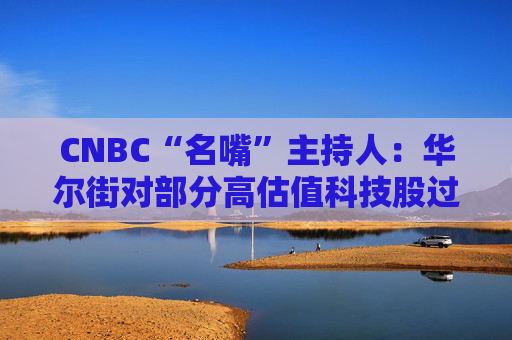 CNBC“名嘴”主持人：华尔街对部分高估值科技股过于执着
