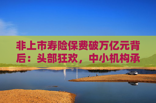 非上市寿险保费破万亿元背后：头部狂欢，中小机构承压