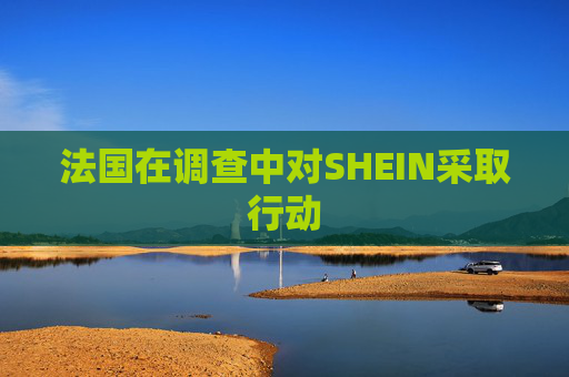 法国在调查中对SHEIN采取行动