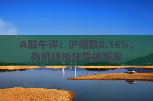 A股午评:沪指跌0.16%,有机硅板块集体爆发