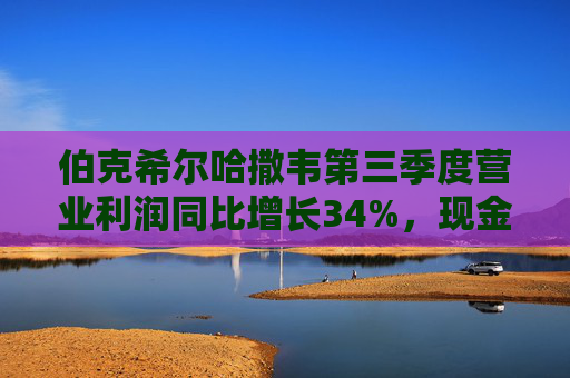 伯克希尔哈撒韦第三季度营业利润同比增长34%，现金储备3816.7亿美元再创新高