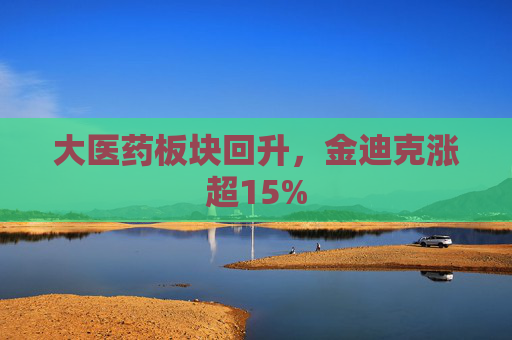 大医药板块回升,金迪克涨超15%