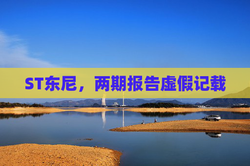 ST东尼,两期报告虚假记载