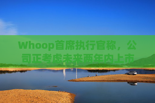 Whoop首席执行官称,公司正考虑未来两年内上市