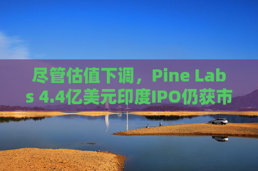 尽管估值下调,Pine Labs 4.4亿美元印度IPO仍获市场热捧