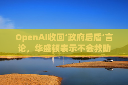 OpenAI收回‘政府后盾’言论,华盛顿表示不会救助