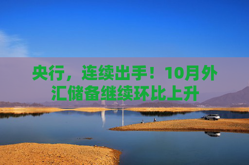 央行，连续出手！10月外汇储备继续环比上升
