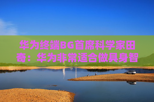 华为终端BG首席科学家田奇:华为非常适合做具身智能