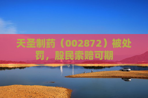 天圣制药（002872）被处罚，股民索赔可期