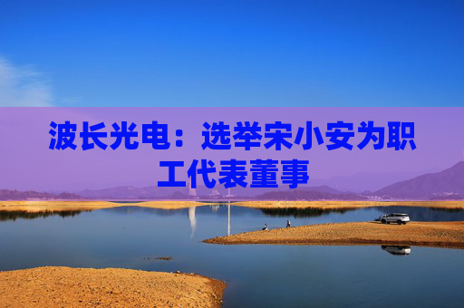 波长光电:选举宋小安为职工代表董事