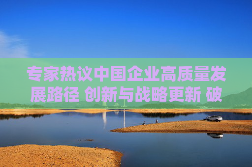 专家热议中国企业高质量发展路径 创新与战略更新 破局上市公司“中年危机”