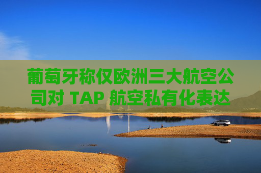 葡萄牙称仅欧洲三大航空公司对 TAP 航空私有化表达兴趣
