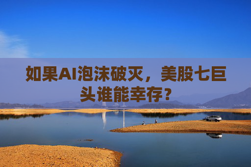 如果AI泡沫破灭，美股七巨头谁能幸存？