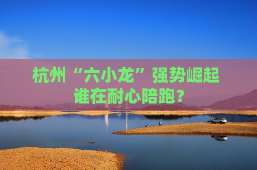 杭州“六小龙”强势崛起 谁在耐心陪跑?
