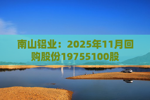 南山铝业：2025年11月回购股份19755100股