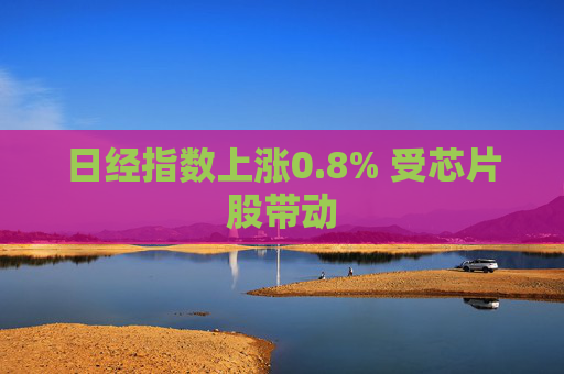 日经指数上涨0.8% 受芯片股带动