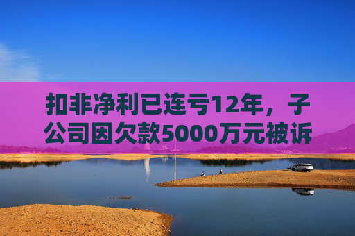 扣非净利已连亏12年,子公司因欠款5000万元被诉,*ST云网未来何去何从?