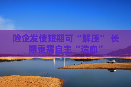 险企发债短期可“解压” 长期更需自主“造血”