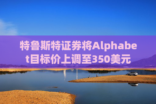 特鲁斯特证券将Alphabet目标价上调至350美元