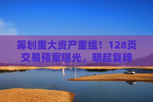 筹划重大资产重组!128页交易预案曝光,明起复牌