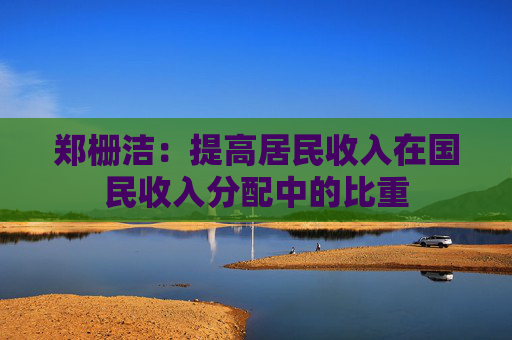 郑栅洁:提高居民收入在国民收入分配中的比重