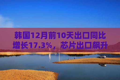 韩国12月前10天出口同比增长17.3%,芯片出口飙升45.9%