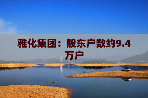 雅化集团：股东户数约9.4万户