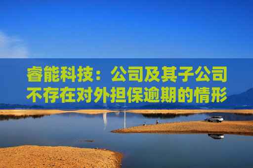 睿能科技：公司及其子公司不存在对外担保逾期的情形