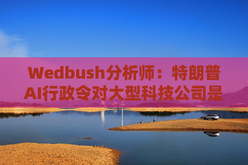 Wedbush分析师:特朗普AI行政令对大型科技公司是重大利好