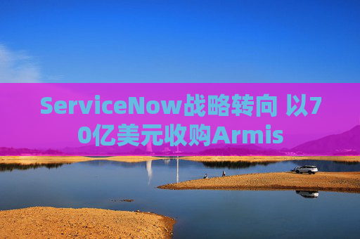 ServiceNow战略转向 以70亿美元收购Armis
