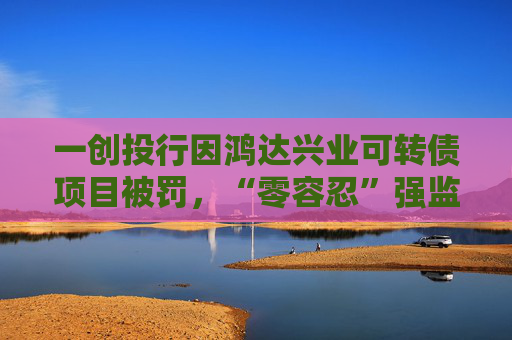 一创投行因鸿达兴业可转债项目被罚，“零容忍”强监管信号明确